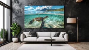 Obraz Želva v azurovém moři